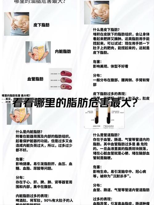 脂肪对健康有哪些利弊？