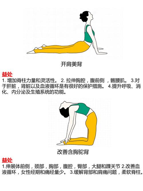 有哪些最简单的瑜伽动作可以快速瘦身，适合7天内进行？