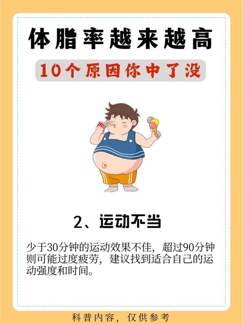 为什么我身上脂肪越来越多，真相是什么？