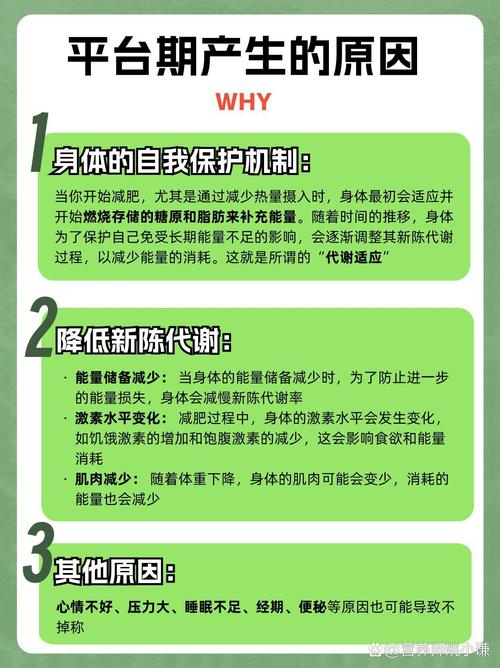 为什么我的减肥步伐会突然停滞不前，原因究竟是什么？
