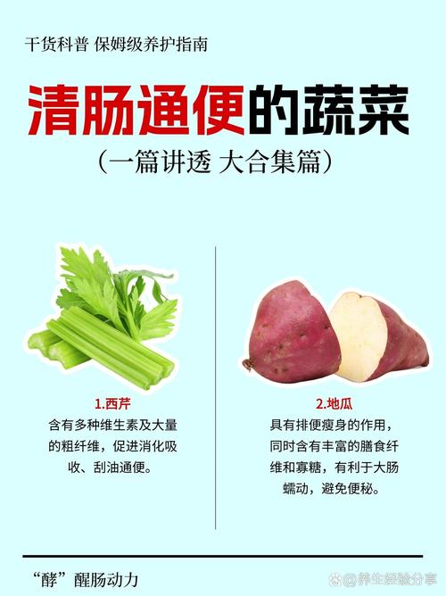 哪些蔬菜有助于肠道清洁，推荐尝试一下呢？