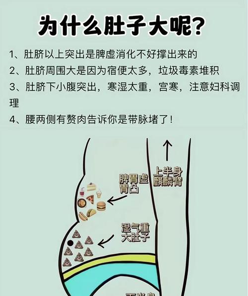 大肚婆如何毁形象？揭秘大肥肚形成原因及改善方法？