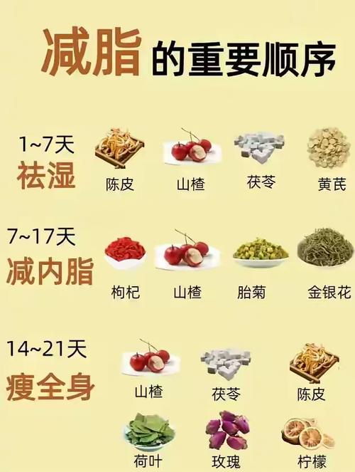白领如何利用上班时间巧用减肥茶进行瘦身？