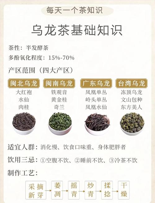 饭后一小时喝乌龙茶是不是梗合适呢？