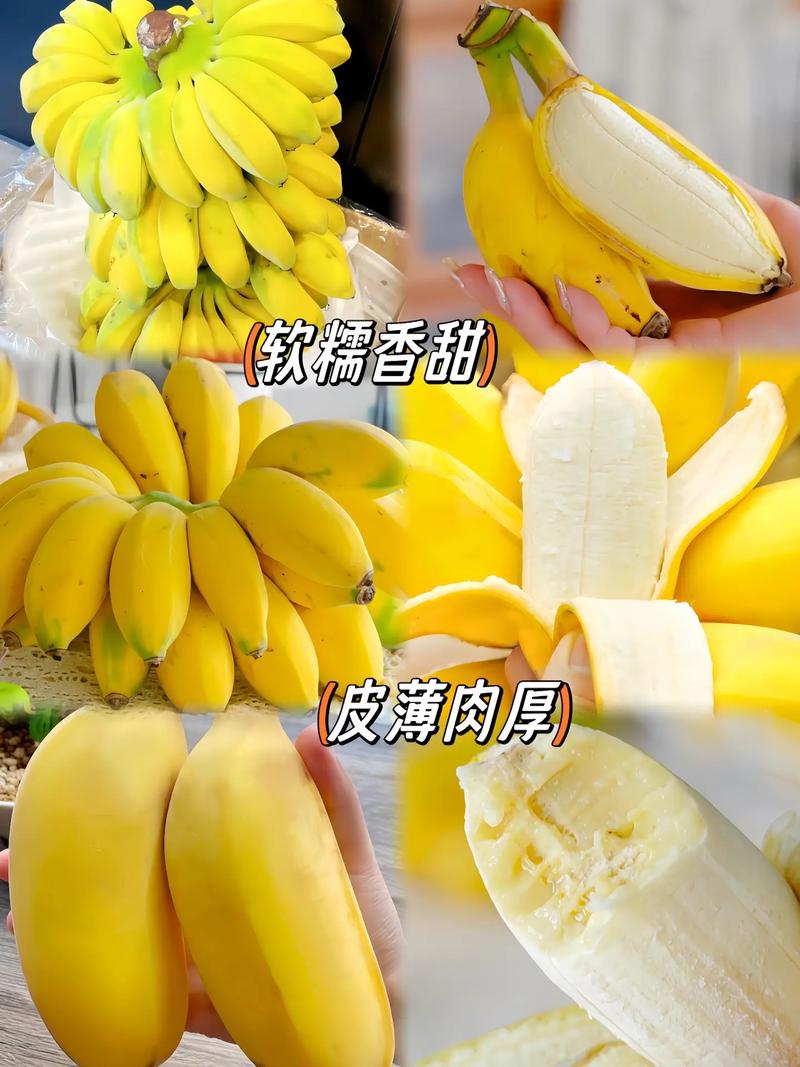 闻香蕉苹果饭前香味能抑制食欲吗？