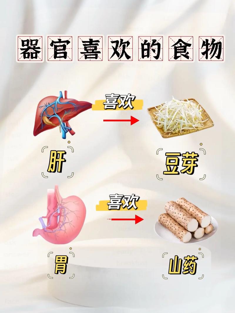 人体十二大器官最爱的食物是什么？