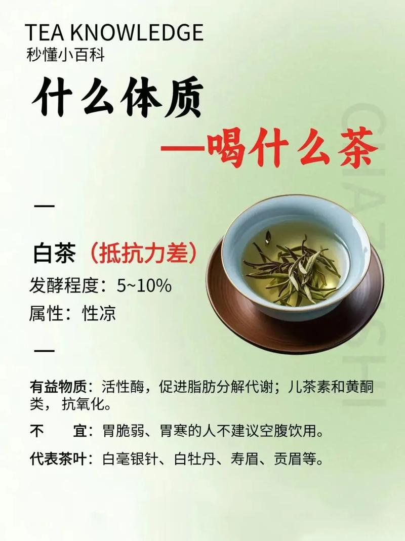 绿茶作为瘦身饮品，难道不是最佳选择吗？