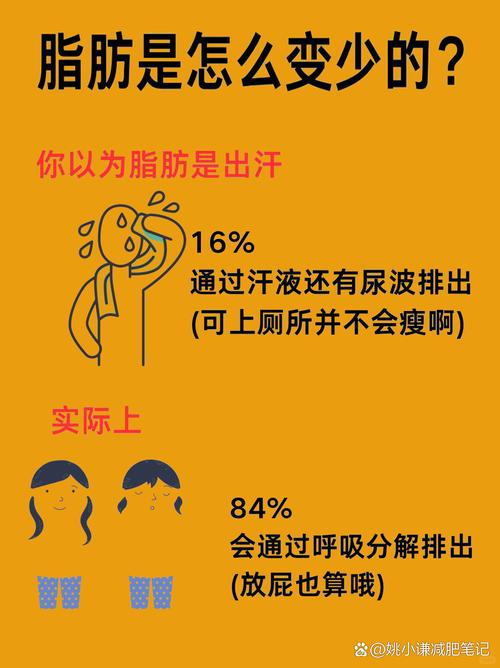 沾沾自喜后脂肪逆袭速度加快，这是真的吗？