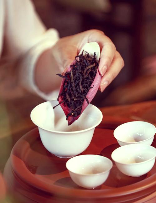 夏日荷花别样红，自制消脂甩肉荷叶茶效果如何？