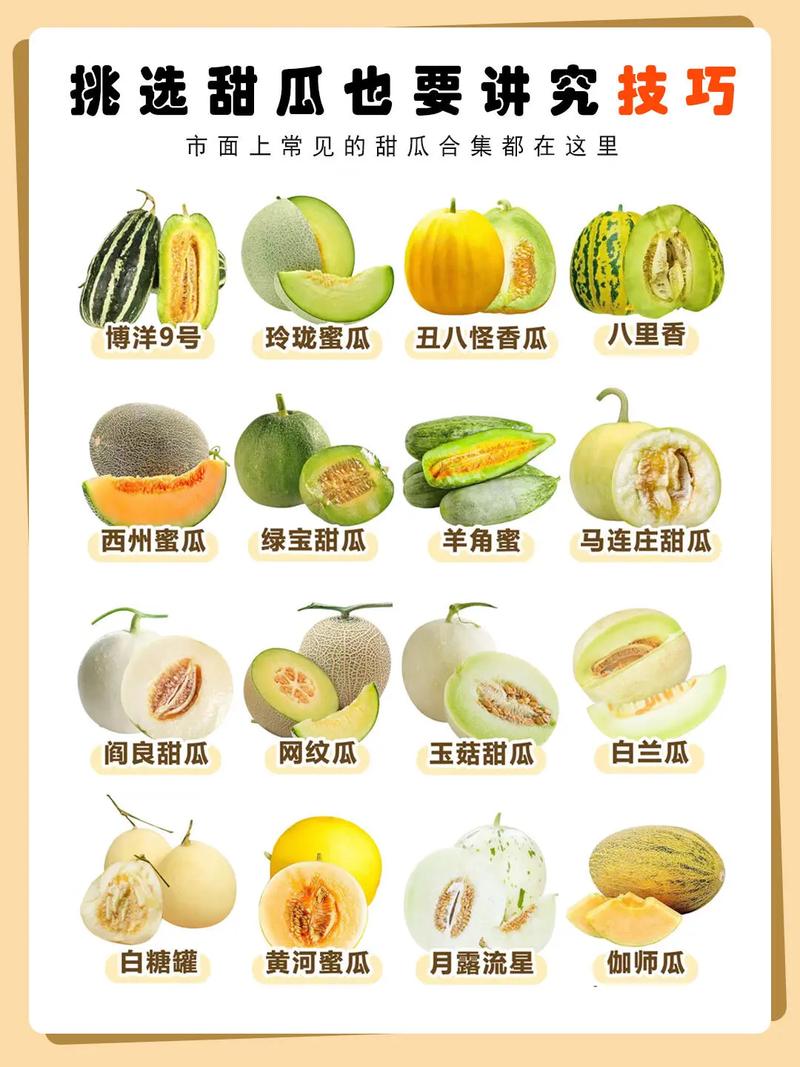 为什么选择甜瓜？低卡又养颜，三大理由让你心动！