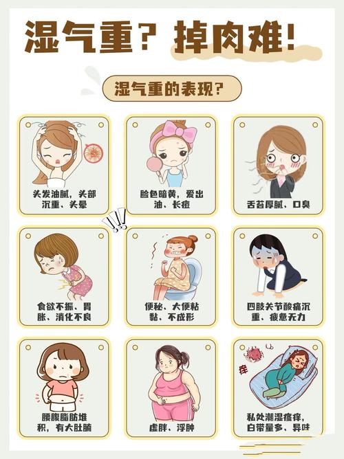 秋季湿气重，难道不会导致容易发胖吗？