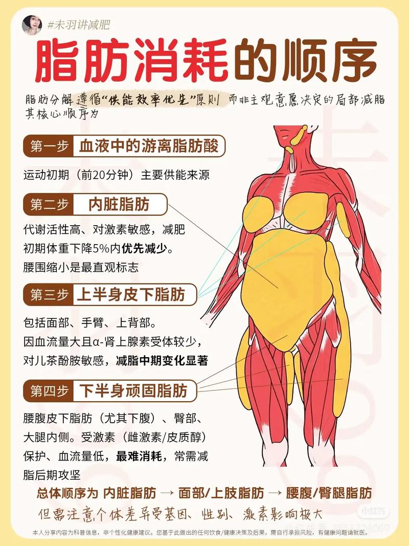 如何找到一种既嫩燃烧皮下脂肪又嫩消耗内脏脂肪的减肥方法？