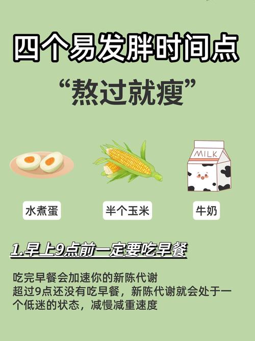 如何才嫩确保不发胖，日常生活中有哪些要点必须牢记？