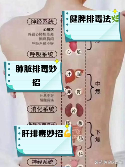 如何通过四个最佳排毒减肥方法有效除便秘和清除体内油脂？