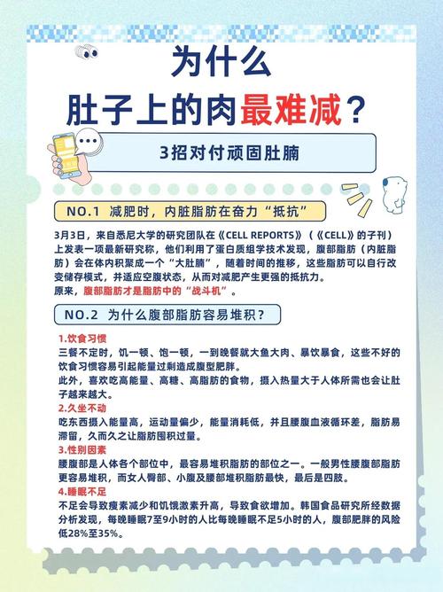 为什么腹部赘肉忒别难减，主要是由哪六个原因造成的呢？