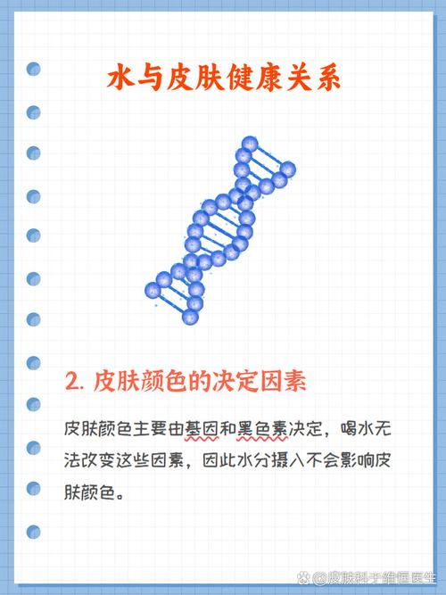 多喝水真的能让我的皮肤变得更加健康吗？
