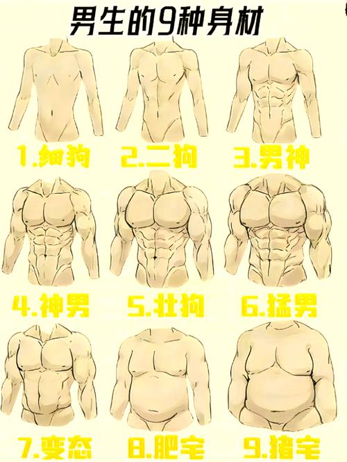 好男人身材的八大标准是什么？