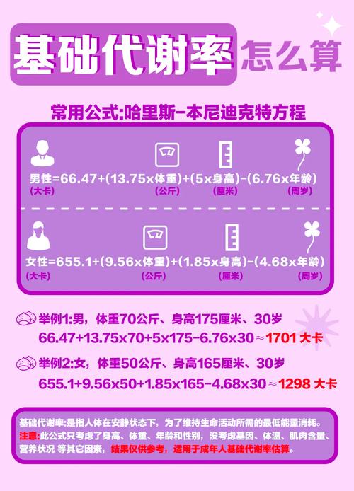 在开始减肥前，我该如何准确了解自己的基础代谢率呢？