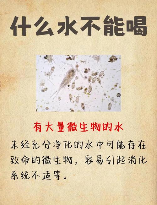 这五种水有哪些是不可以喝的呢？