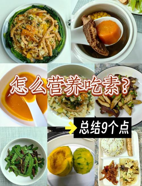 素食减肥需要注意什么有哪些关键点要特别注意？