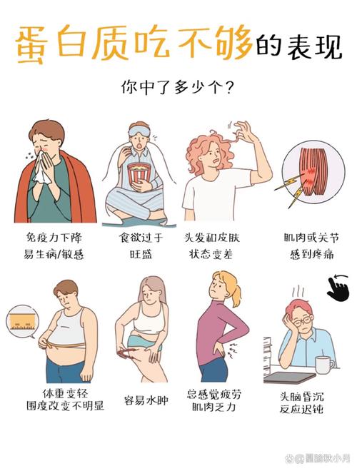 为什么蛋白质摄入过多会对身体造成不良影响呢？