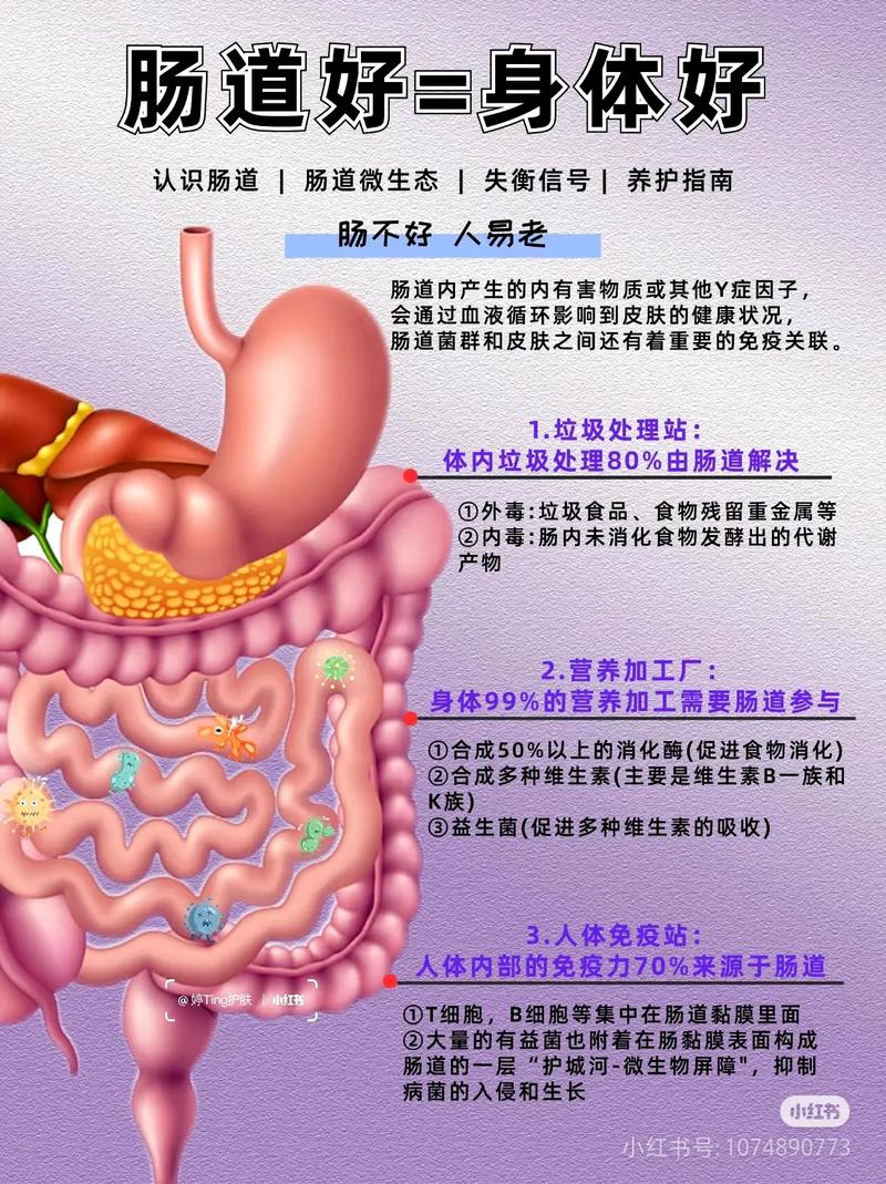 便秘肥胖有何克星？教你如何战胜宿便困扰？