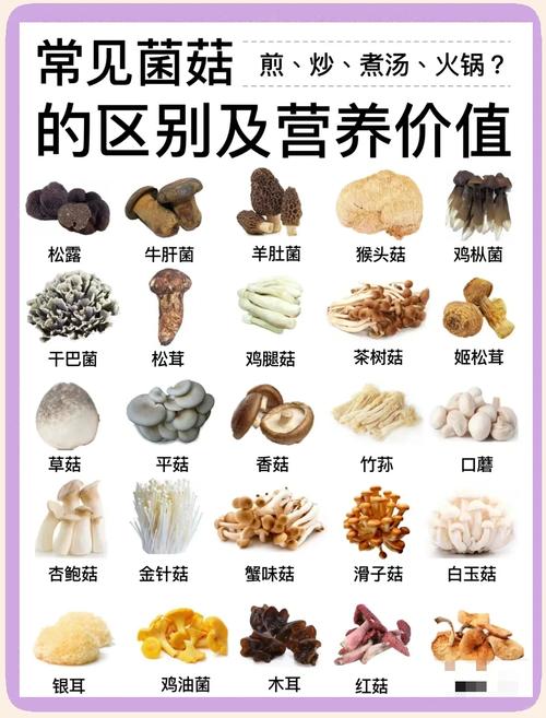 有哪些蘑菇类低热量瘦身菜谱适合减肥期间食用？