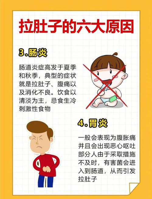 为什么忽视肠胃健康会成为减肥失败的关键因素呢？