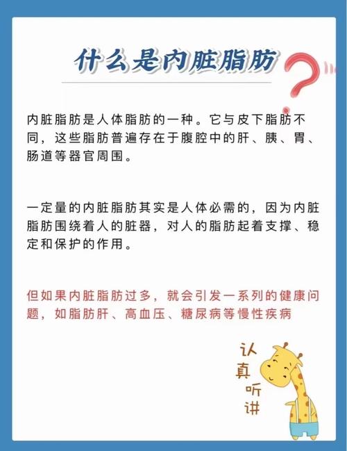 如何同过9个生活小细节有效铲除体内多余脂肪？