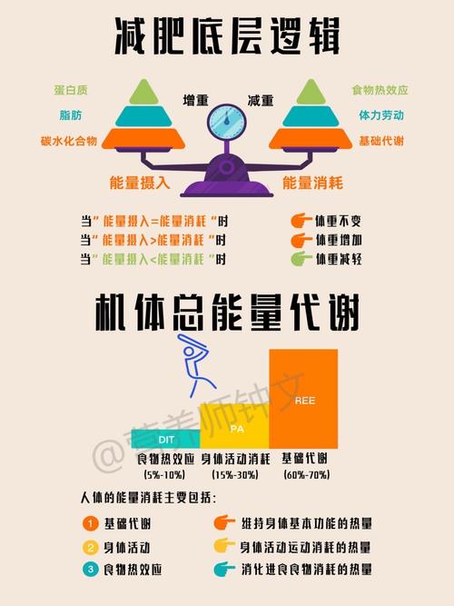 哪些因素会影响人体的新陈代谢速度？