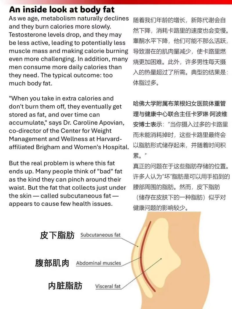 内脏脂肪对健康危害真的那么大吗？肥胖人士该如何谨慎应对？