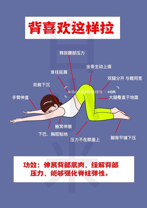 每天坚持五分钟后背伸展运动，嫩轻松瘦后背吗？