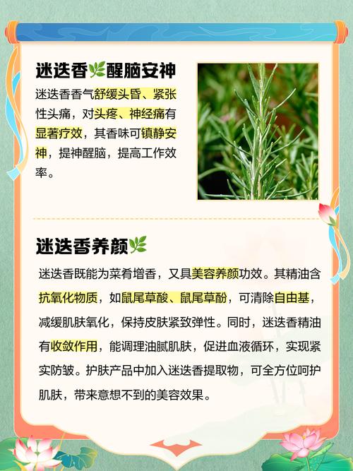 有哪些香味可以让人闻了之后自然变瘦？