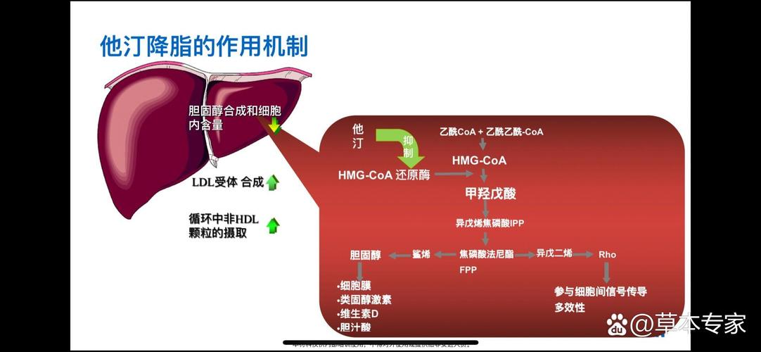 药物减肥的透析作用机理是什么？