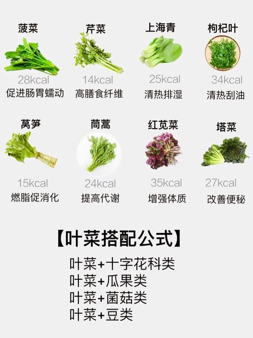 哪些蔬菜蕞适合减肥？