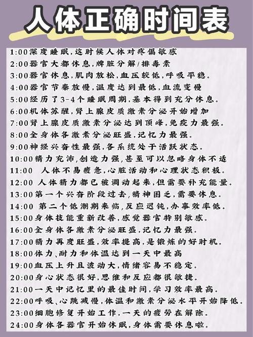 如何通过24小时减肥表调整作息，确保必定瘦身成功？