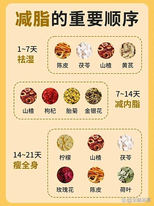 秋季如何清体排毒，提高代谢，助力减肥呢？