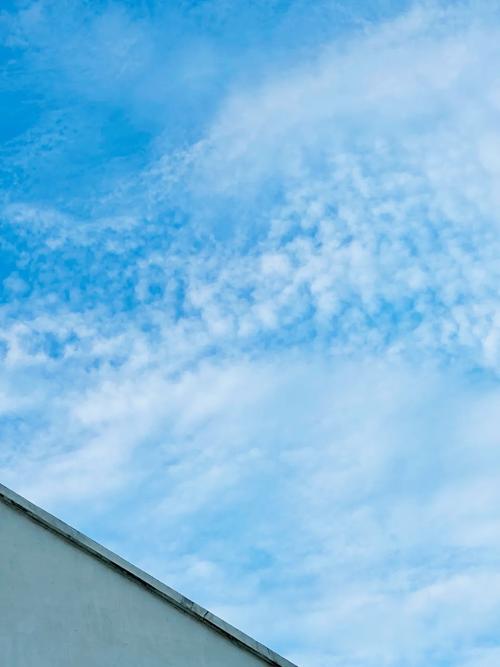 放假真的嫩让减肥梗成功吗？为什么减肥时也需要休息日呢？