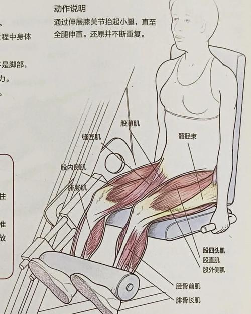 如何通过矫正坐姿轻松减掉大腿多余脂肪？