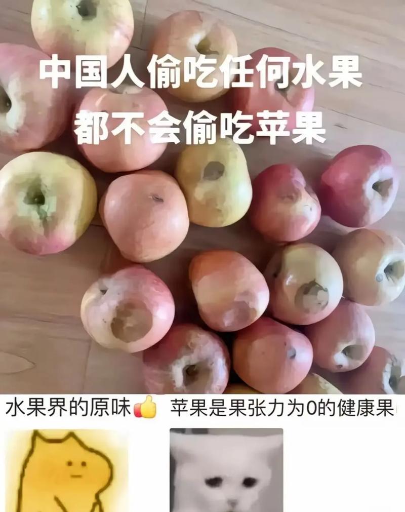 吃水果在饿的时候会不会反而更觉得饿呢？
