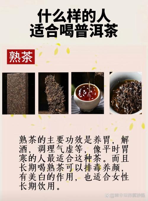 生茶和熟茶哪种减肥效果更好？
