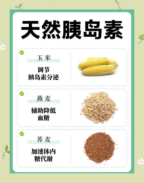 哪种低糖主食适合减肥期间食用？