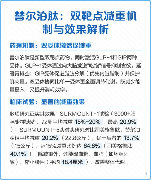 是通过什么原理和机制帮助人体减重的？