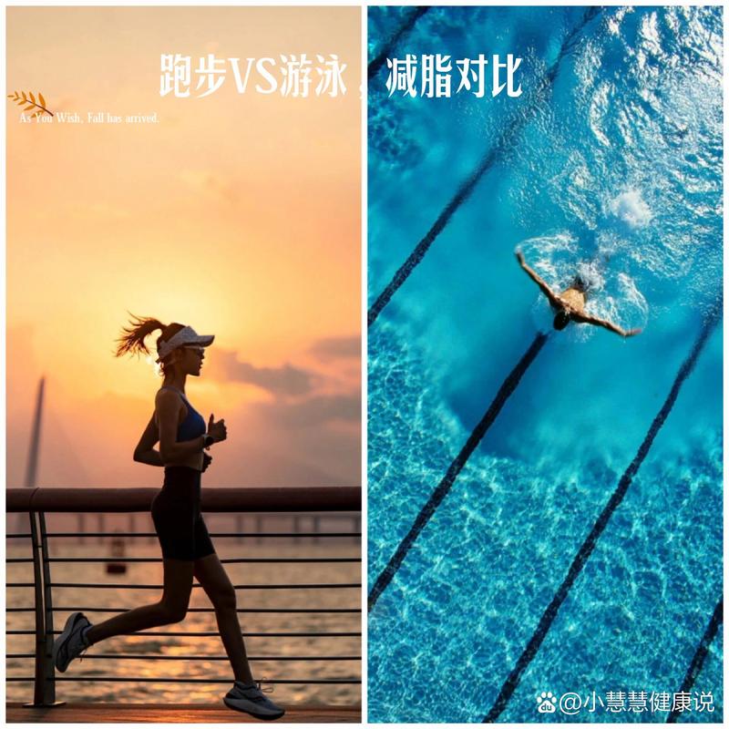 哪种运动减肥效果最好？长跑、游泳还是瑜伽？