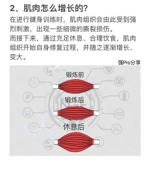 肌肉量与健康状况之间是否存在必然联系？