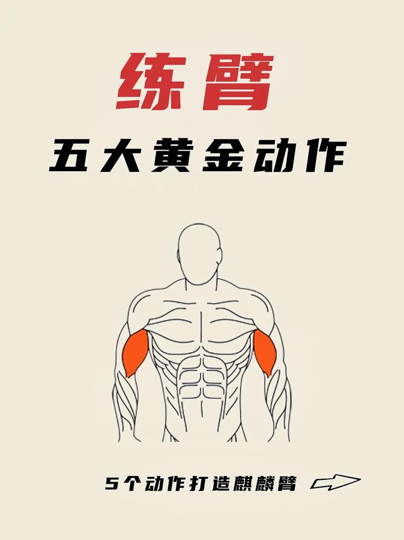 美臂十大绝招具体是哪十种训练方法？