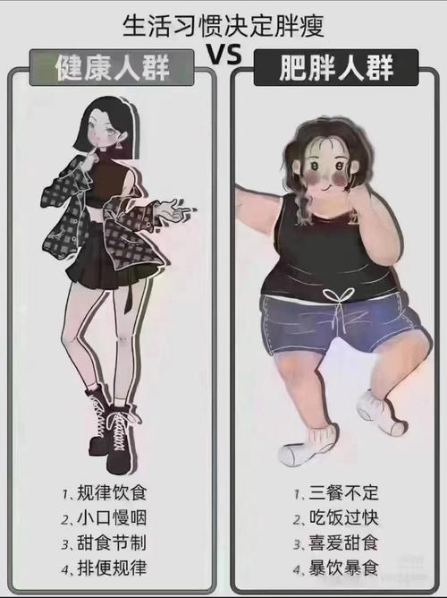 胖MM和瘦MM在生活习惯和饮食上有哪些不同，导致她们的一天有何差异？