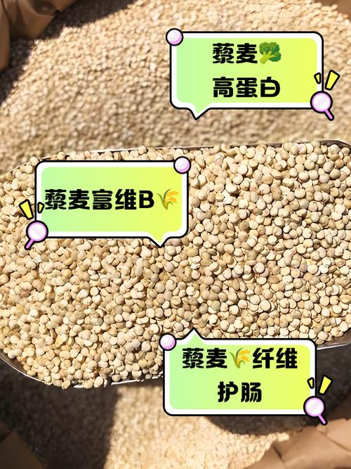 为什么藜麦会成为备受关注的减肥网红食品呢？