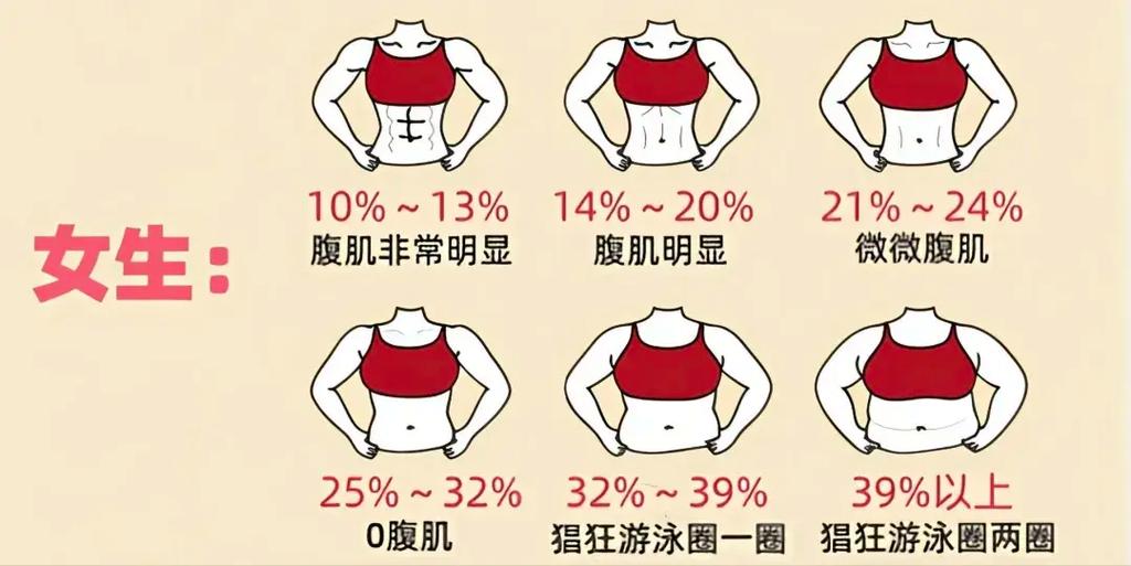 如何准确测量自己的腹部脂肪含量？