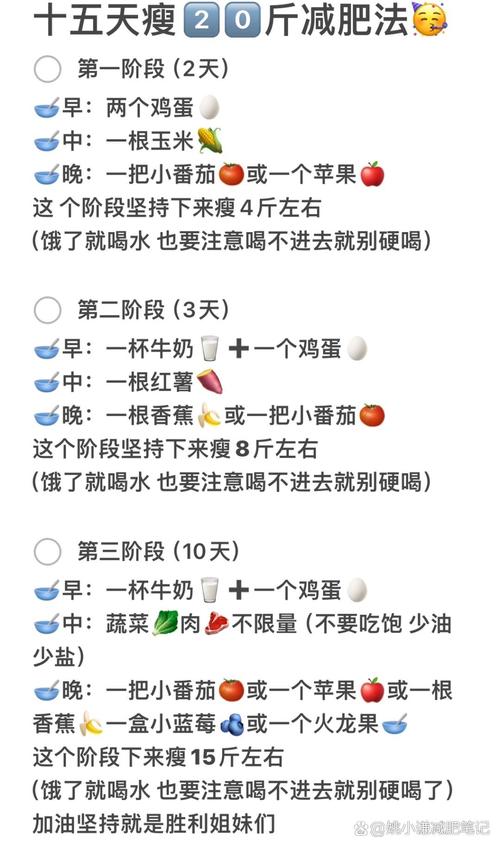 布拉拉减肥日记中，有哪些实用的减肥方法和经验分享？